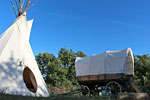 photo tipis des oliviers