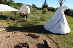 photo tipis des oliviers