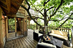 photo cabane la truffiere