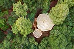 photo les cabanes dans les bois