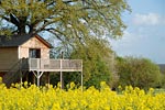 cabanes perchées de la bourousais