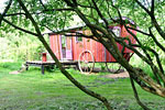 la roulotte et la cabane des marais