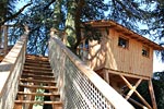 photo domaine des grands cedres
