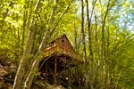 photo les cabanes de saint leger