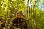 les cabanes de saint léger